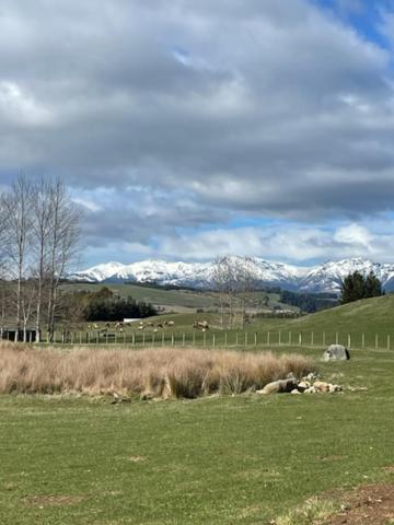 Boutique Tiny House - Te Anau Country Accommodation Eksteriør bilde