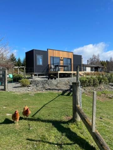 Boutique Tiny House - Te Anau Country Accommodation Eksteriør bilde